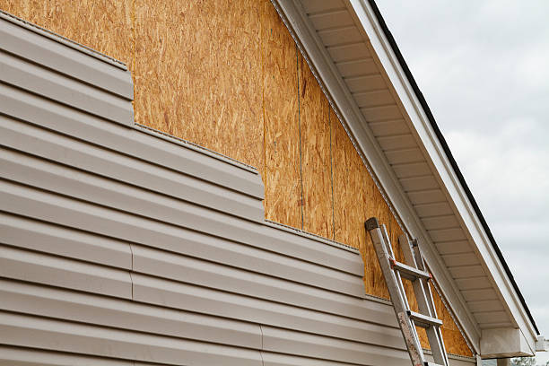 Professional Siding Inspection technician working in Auburn, WA